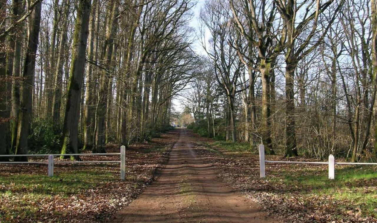 Domaine De La Haute-Porte Souvigné-sur-Sarthe Zewnętrze zdjęcie